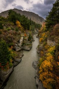 Queenstown Autumn